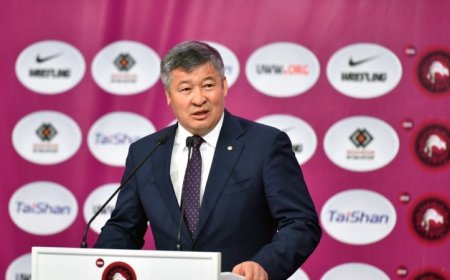 Сот мәжіліс депутаты Тұрлыхановтың ұлына айыппұл салды