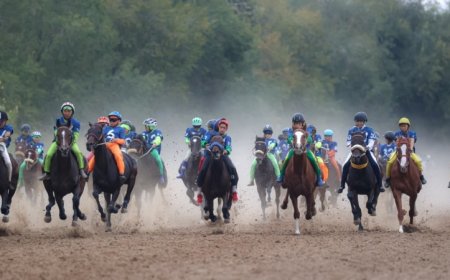 Қазақстанның сәйгүліктері сынға түскен жарыс