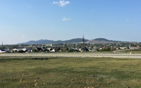 Ұлының қазасын тексеруді сұраған әйелдің үндеуінен кейін президент Тоқаев полицияға тапсырма берді