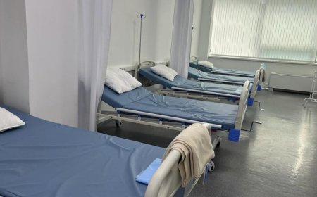 Фейк: «Қазақстанда қызылша ауруының өршуіне америкалық биозертханалар себеп болған»