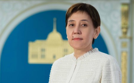 Дүйсенова Қарағандыдағы апатқа кімнің айыпты екенін айтты