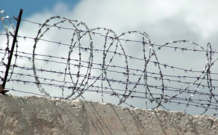 Ұлытау облысында кәсіпкермен «кездейсоқ танысқан» әйел 7 жылға сотталды