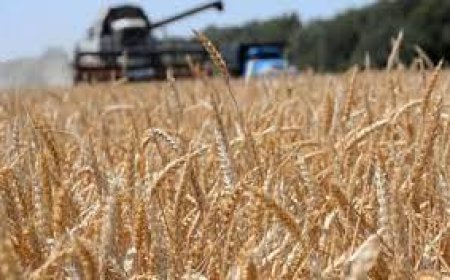 Смайылов диқандардың несиелеріне қатысты тапсырма берді