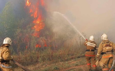 Бас прокуратура: Семейдегі орман өртінің себебі – найзағай