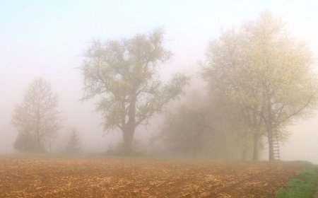 Қазақстанның бірқатар өңірінде тұман түсіп, жел күшейеді - Қазгидромет