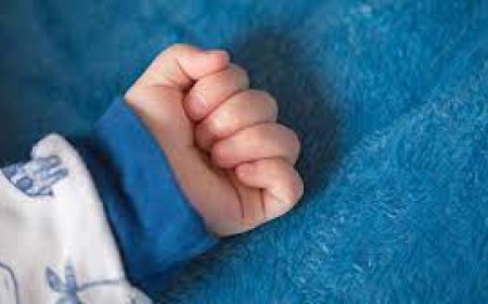 Павлодар облысында сегіз айлық бала аштан өлді деген ақпарат пайда болды