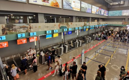 «9 мың теңге айыппұл». Көлік министрі журналистің жазбасына қатысты жауап берді