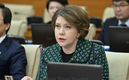 Коллекторларға азаматтардың несиесін сатуға шектеу енгізу ұсынылды