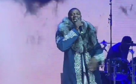 Эротикалық сипаттағы әндері нәпсіні қоздыруға итермелейді - депутат Астанаға келген AKON туралы