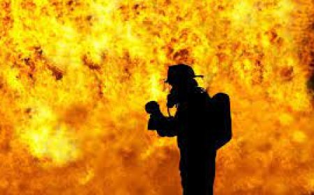 Шымкентте бір көше бойында орналасқан бірнеше дүкен жанып кетті