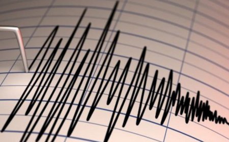 Алматыдағы зілзаладан кемі 8 адам зардап шеккен