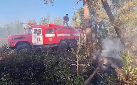 Ауылда өрттен қорғанатын арнайы техника жоқ – Мәжіліс депутаты