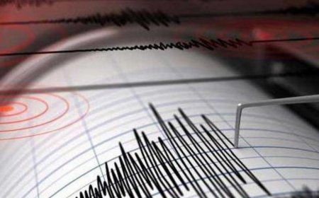 «Алматыда 100 жыл бұрынғы жойқын зілзала қайталануы мүмкін» - сейсмолог