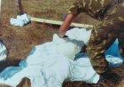 «Жылда біреудің аяғын, біреудің бас сүйегін тауып аламыз» - ауыл тұрғындары