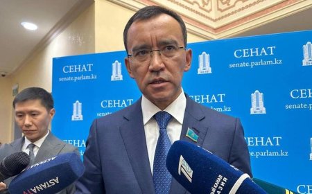 Мәулен Әшімбаев Үкіметтің отставкасына қатысты жауап берді