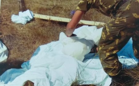 «Жылда біреудің аяғын, біреудің бас сүйегін тауып аламыз» - ауыл тұрғындары