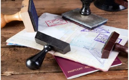 Биыл қай елдерге визасыз баруға болады?