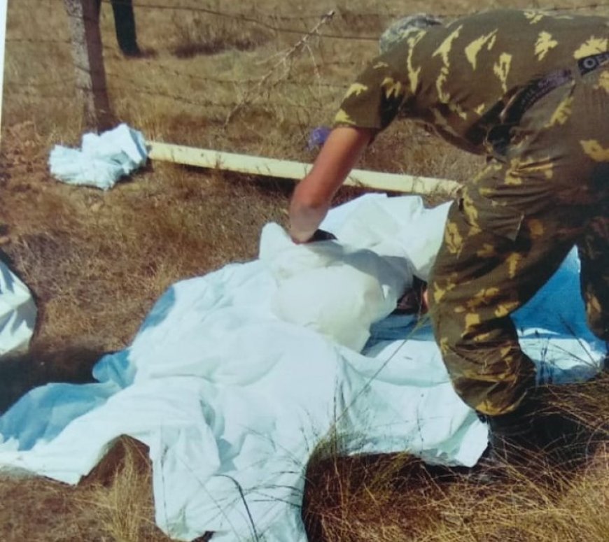 «Жылда біреудің аяғын, біреудің бас сүйегін тауып аламыз» - ауыл тұрғындары