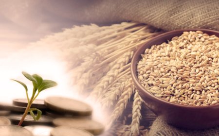 Биылғы пітір садақа мөлшері бекітілді