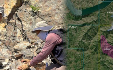 Қазақстанда құны 15,7 миллиард доллар болатын кен орны табылды