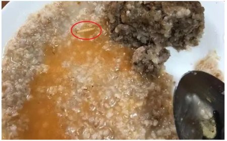 Павлодарда мектеп оқушылары құрт, тарақан қосылған тамақ жеп келген