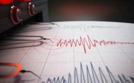 Алматы маңында жер сілкінді