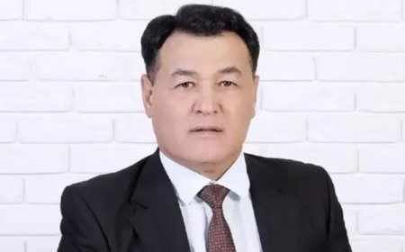 Маңғыстаудағы жартасқа ойып жазу қалдырған экс-шенеунік қайтадан басшылық қызметке келді