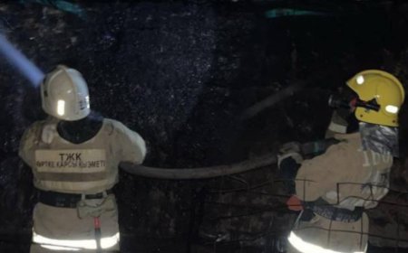 Жамбыл облысында 48 бас мал тірідей жанып кетті