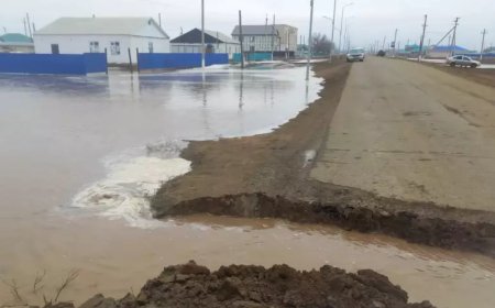«Үйден шыға алмай отырмыз». Ақтөбе облысында үйлер суға кетіп жатыр