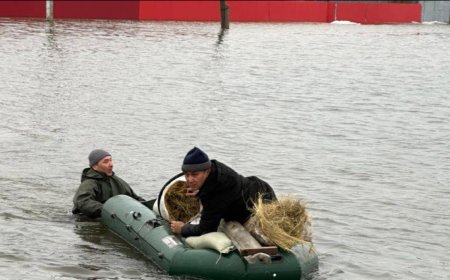«Мешіт салғыш кәсіпкерлер канал салса, абыройлы іс болар еді» - журналист