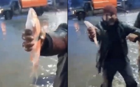 Ақтөбе тұрғындары көшеде балық қуып жүр