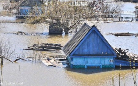 «Тасқын деген түсіне білген адам үшін таза бизнес қой» - журналист