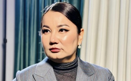 «Тақыр жерде отырып қар суын игере алмай отырмыз»: заңгер елімізді Жапониямен салыстырды