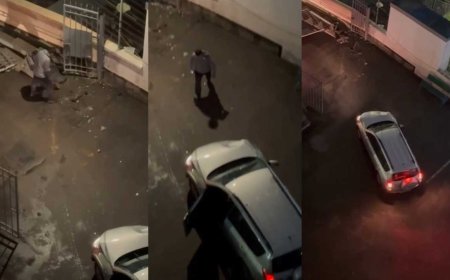 «Бұрынғы депутаттың ұлы»:  Алматыда күзетшіні ұрып өлтірген жігітке қатысты дерек шықты