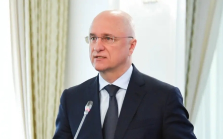 «Қайық жоқ, су етік табылмай жатыр»: Депутат Скляр бастаған Үкіметтің кейбір мүшелерін ауыстыруды талап етті