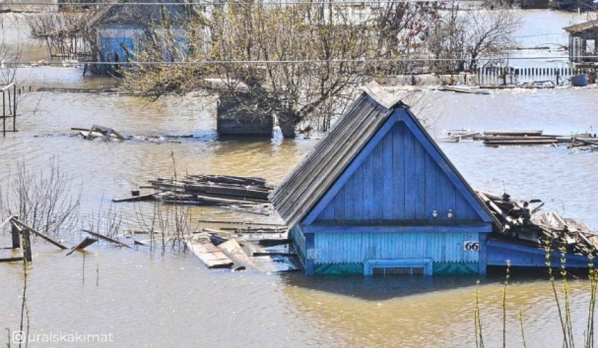 «Тасқын деген түсіне білген адам үшін таза бизнес қой» - журналист