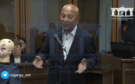 Бишімбаев Нүкенованың басын унитазға ұрған - сарапшы