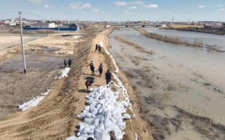 «Әкем мен ағамды іздеу үшін техника мен қайық берілмеді»: Құлсарыда жоғалып кеткендердің жақындары шенеуніктердің жұмысына наразылық білдірді