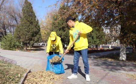 «Көше сыпырып, ақша ұт». Астана әкімдігі көше қазып, үш жерге 150 мың теңге жасырып қойды