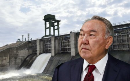 «Назарбаев бәрін құртты». Экс су шаруашылығы министрі неге алаңдайды?