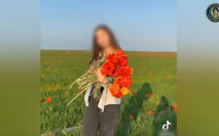 Ордабасыда қызғалдақ терген студент 11 миллион теңге айыппұл арқалады