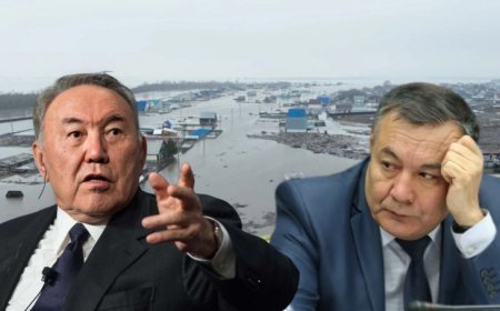 «Назарбаевтың данышпандығынан апат болмады деу – қисынсыз» – Саясаттанушы