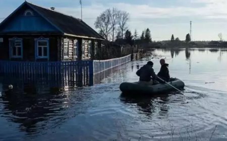 Оралда Жайықтағы су деңгейі қауіпті шектен асып кетті