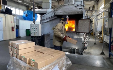 Ресейден келетін қызанақтан қауіпті вирус табылды