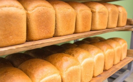 Депутат нан бағасын 500 теңгеге көтеруді ұсынды