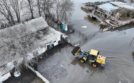 Тасқын аяқталған соң кейбір ауылдар басқа жерге қоныстанады – Тоқаев