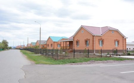 «Тасқыннан кейін бой көтеретін жаңа ауылдар Родинаның деңгейінде салынуы керек» - қоғам белсендісі