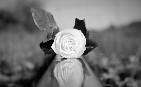 Солтүстік Қазақстан облысында бір үйдің екі адамы асылып қалды