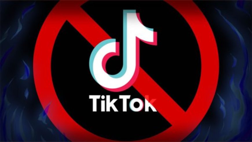 Елімізде TikTok бұғатталуы мүмкін