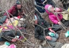 Павлодарда алты баласы бар отбасы даладан табылды
